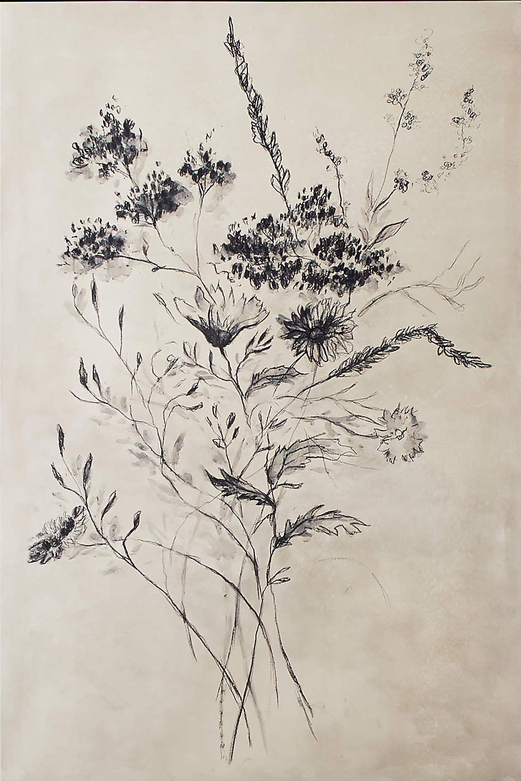 Beige Flower Drawing With Black Line, Contemporary Wall Art #BGA 095