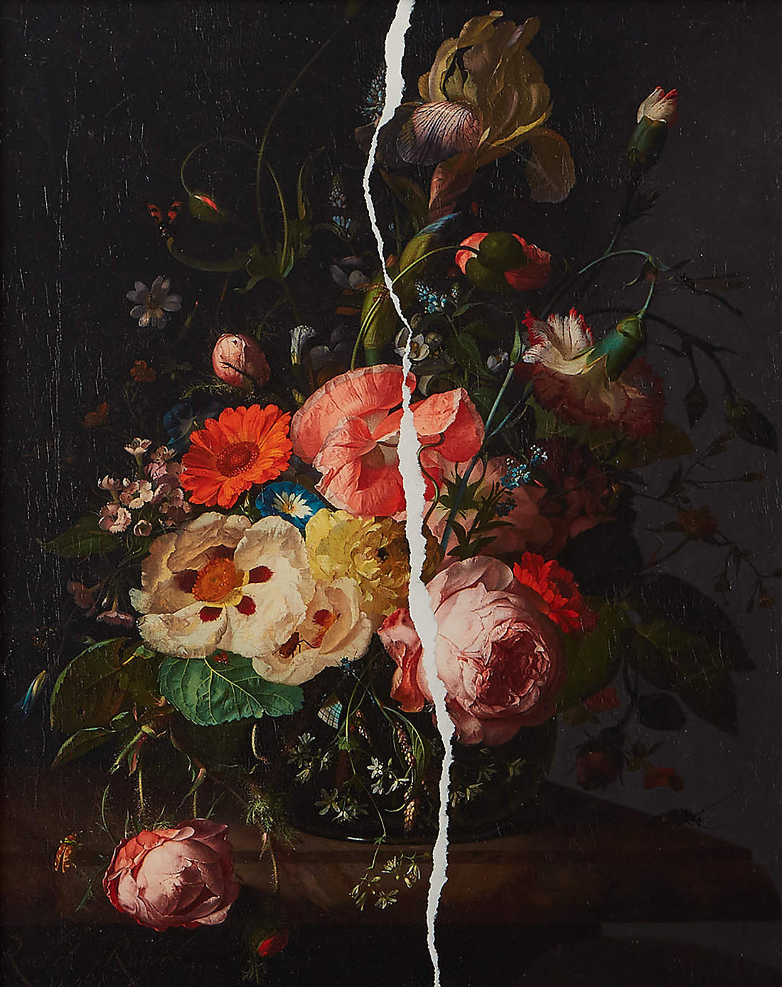 Colorful Flowers In Dark and White Crack, Contemporary Canvas #BGA 090