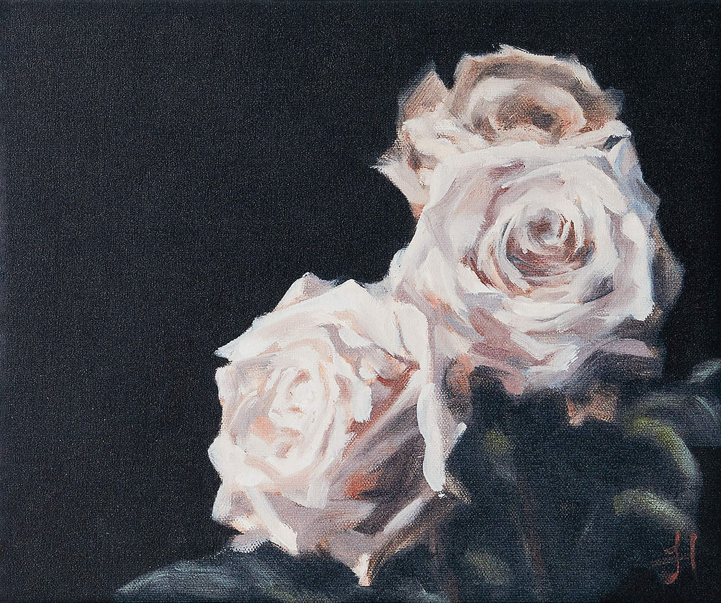 Delicate Rose Blooms In Dark, Contemporary Wall Art #BGA 120