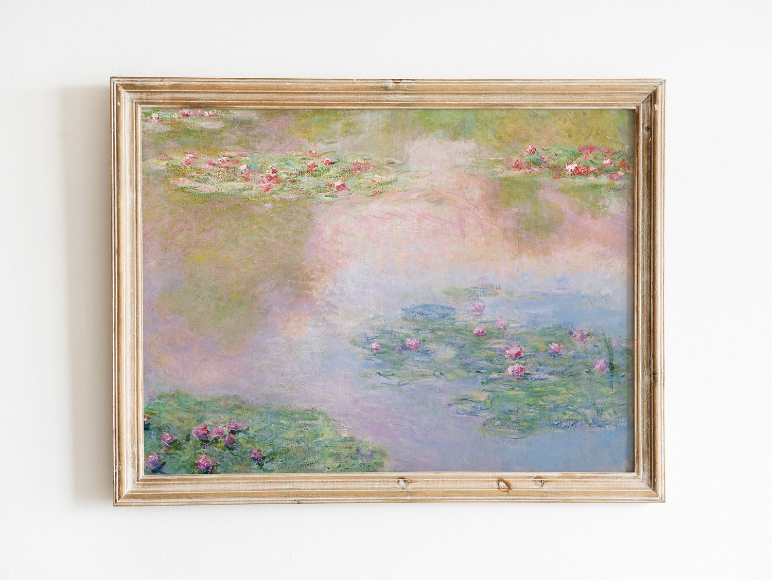 Lily Pond Within The Pink Lilies And Pink Sky Reflection #BGA 071